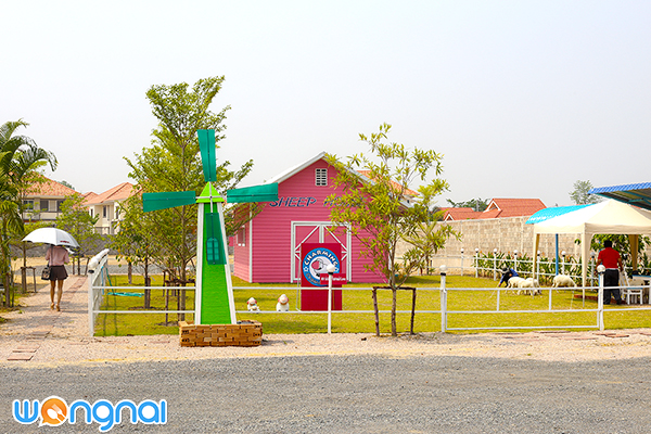 Charming Farm สวรรค์ของคนรักแกะ