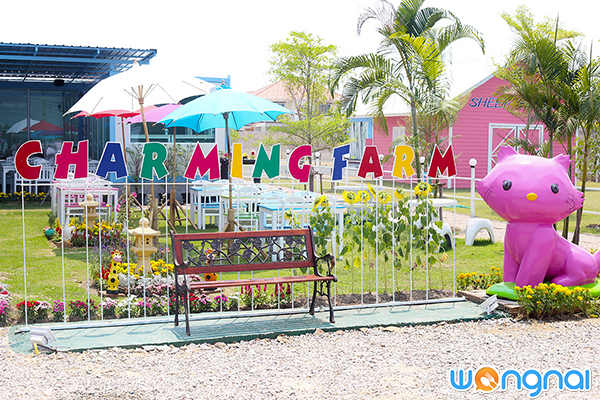 Charming Farm สวรรค์ของคนรักแกะ