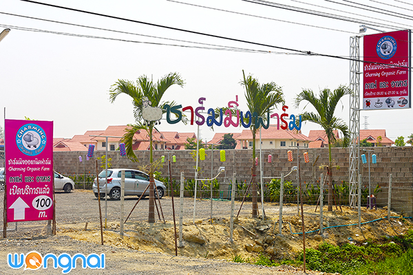 Charming Farm สวรรค์ของคนรักแกะ